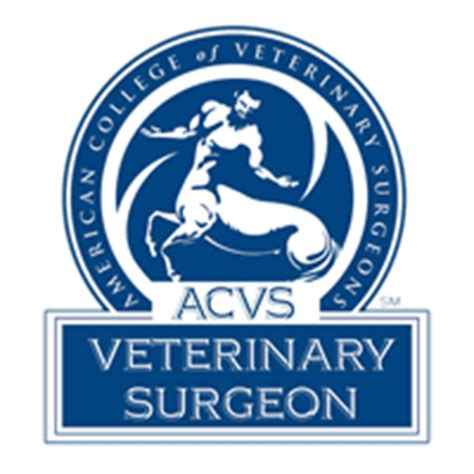 Vrcc veterinary specialty & emergency hospital. Things To Know About Vrcc veterinary specialty & emergency hospital. 